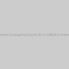 Image of Ubiquitin-Conjugating Enzyme E2 L3 (UBE2L3) Antibody